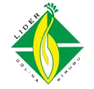 Logo Lider - Dolina Strugu